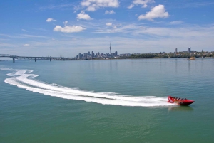 Auckland: Jetbåttur i Waitemata Harbour