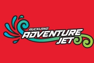 Auckland: Jetbåttur i Waitemata Harbour