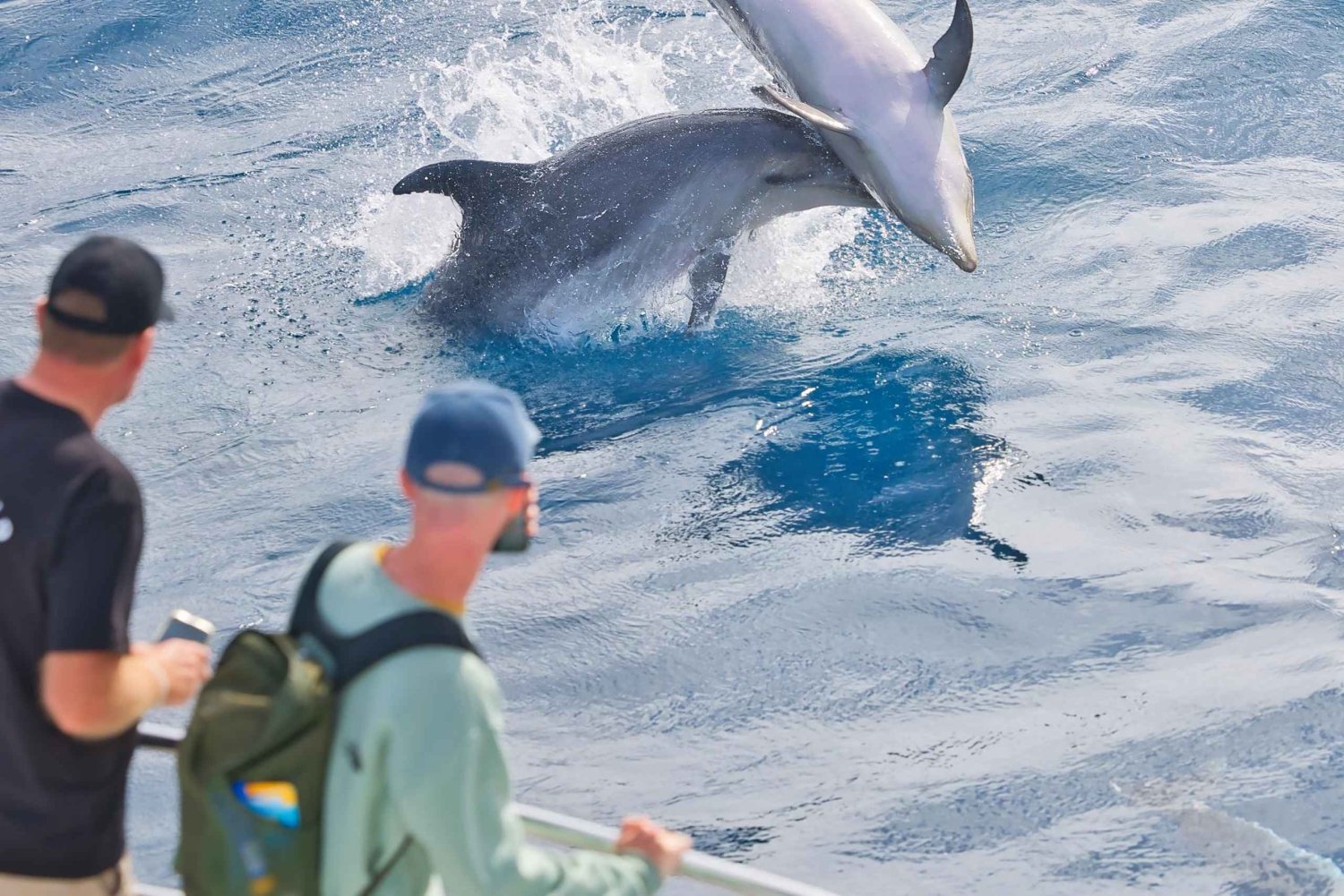 Bahía de las Islas: descubre el crucero por la bahía con almuerzo en la isla.