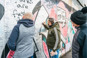 Belfast: tour privado de 1,5 horas en taxi negro