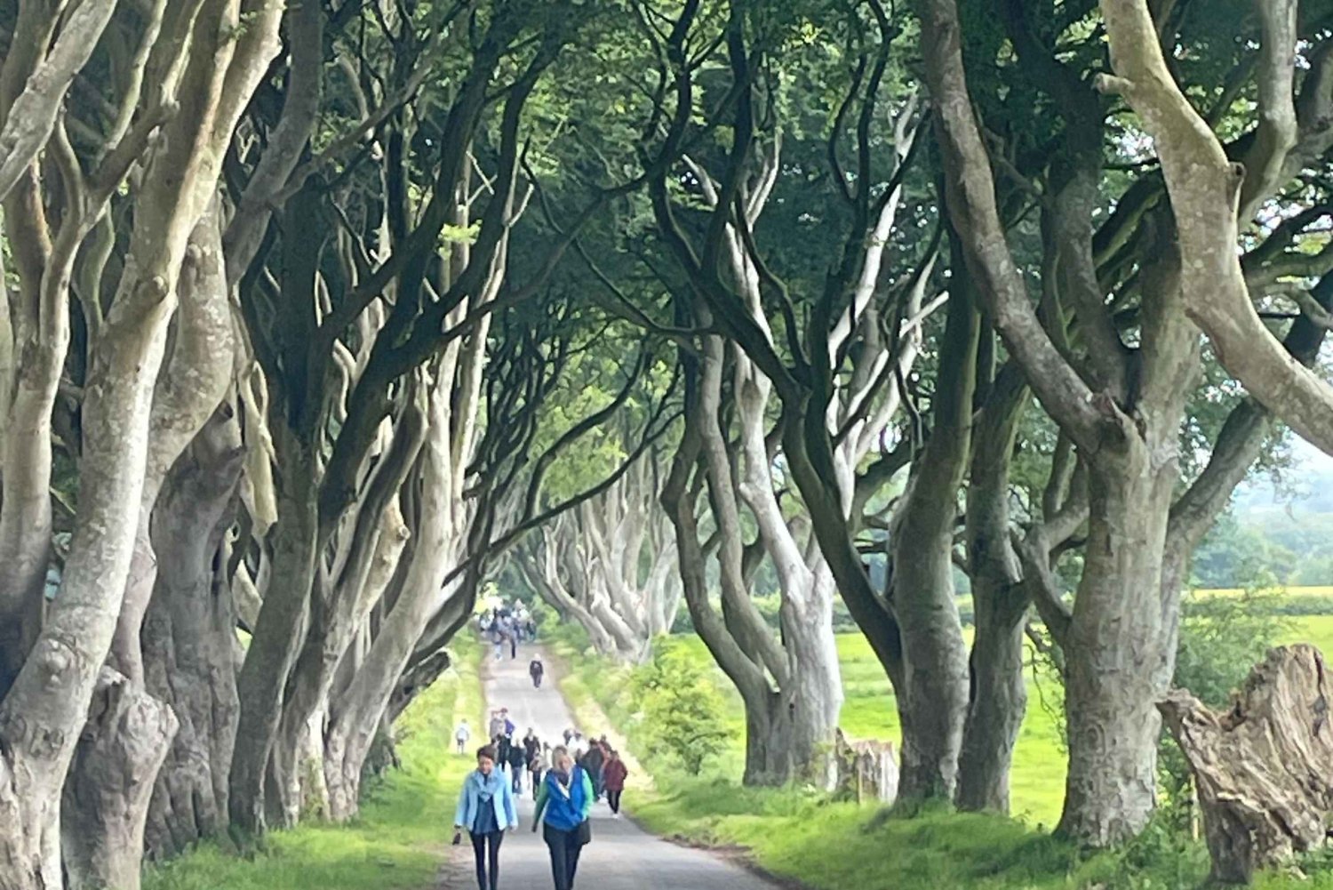 Stadsrondleiding Belfast & Giants causeway privétour