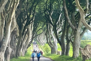 Частная экскурсия по Белфасту и Дороге гигантов