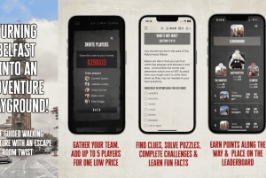 Belfast: Stadsrondleiding & Ontdekkingsspel