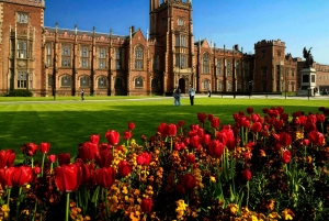 Dagstur til Belfast med fredsmurer, Titanic og irsk whiskey