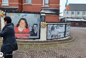 Belfast: Tur med den berømte sorte taxa