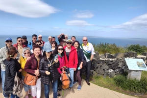 Belfast: Tur med den berømte sorte taxa