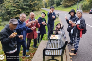 Belfast: Tur med den berømte sorte taxa