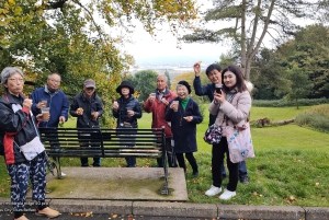 Belfast: Tur med den berømte sorte taxa