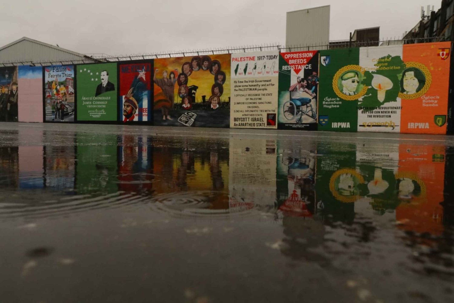 Belfast: Tour privato dei famosi murales