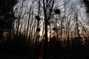 Belfast fra oven: Vandretur ved solopgang eller om eftermiddagen