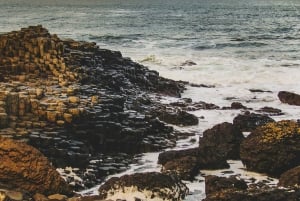 Белфаст: Тропа гигантов и веревочный мост Каррик-а-Ред