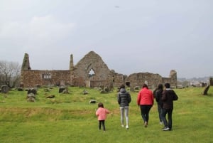 Belfast: Giants Causeway and North Coast Small Group Tour