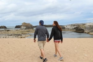 Belfast: Giants Causeway and North Coast Small Group Tour
