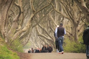 Belfast: Giants Causeway and North Coast Small Group Tour