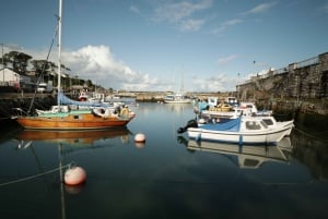 Belfast: Giants Causeway and North Coast Small Group Tour