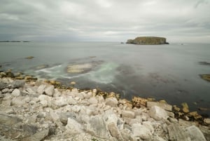 Belfast: Giants Causeway and North Coast Small Group Tour