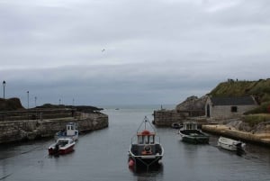 Belfast: Giants Causeway and North Coast Small Group Tour