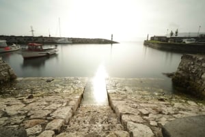 Belfast: Giants Causeway and North Coast Small Group Tour