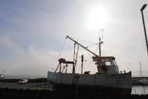 Belfast: Giants Causeway and North Coast Small Group Tour