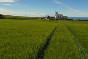 Belfast: Giants Causeway and North Coast Small Group Tour