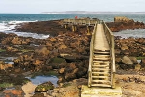 Belfast: Giants Causeway and North Coast Small Group Tour