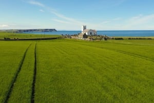 Belfast: Giants Causeway and North Coast Small Group Tour