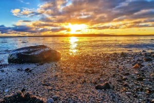 Belfast: Giants Causeway and North Coast Small Group Tour
