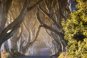 Belfast: Causeway Tour w/ Titanic Exhibit Admission