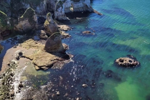 Belfast; High lights Giants Causeway tours privados