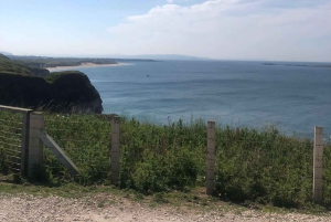 Belfast; High lights Giants Causeway tours privados