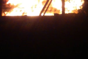 Belfast: Omvisning på fredsmuren og veggmalerier