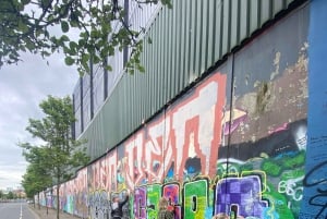 Belfast: Peacewall and Political History Black Taxi Cab Tour