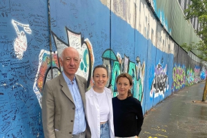 Belfast: Peacewall and Political History Black Taxi Cab Tour