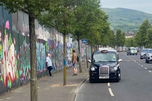 Belfast: Peacewall and Political History Black Taxi Cab Tour