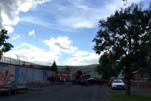 Belfast: Peacewall and Political History Black Taxi Cab Tour