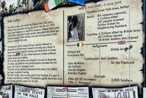 Belfast: Visita ao táxi político