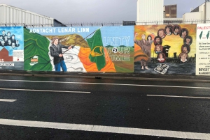 Belfast: Private Black Taxi Tour with Guide