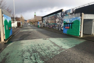 Belfast: Private Black Taxi Tour with Guide