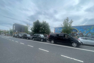 Belfast: Private Black Taxi Tour with Guide