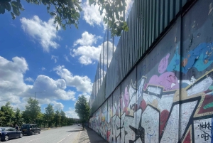 Belfast: Private Black Taxi Tour with Guide