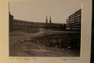 Belfast: Private Black Taxi Tour with Guide