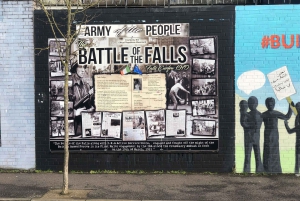 Belfast: Private Black Taxi Tour with Guide