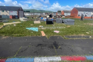 Belfast: Private Black Taxi Tour with Guide