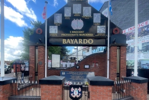 Belfast: Private Black Taxi Tour with Guide