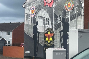 Belfast: Private Black Taxi Tour with Guide