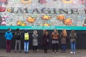 Problemen in Belfast : Muurschilderingen, Straatkunst en Vredesmuur Tour