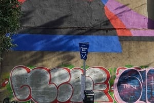 Problemen in Belfast : Muurschilderingen, Straatkunst en Vredesmuur Tour