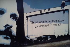 Problemen in Belfast : Muurschilderingen, Straatkunst en Vredesmuur Tour