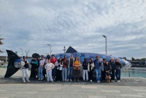 Belfast-Rundgang mit einem Einheimischen – Geschichte & Spaß