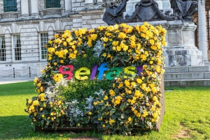 Best of Belfast: Private Walking Tour with a Local